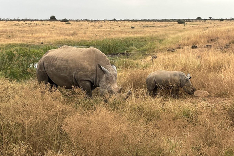 Nairobi National Park Morgenpirschfahrt mit kostenloser Abholung