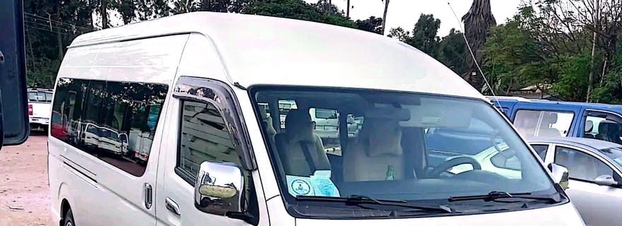 Translado do aeroporto de Adis Abeba e serviço de transporte (privado)