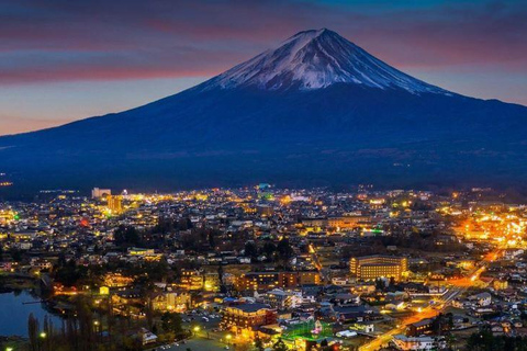 Berg Fuji und Hakone Ganztagestour private Tour