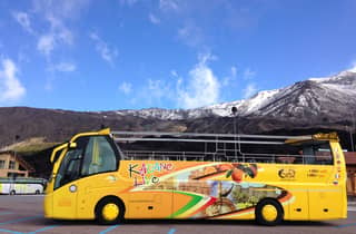 Abfahrt von Catania: Ätna-Tour mit dem Bus und Honigverkostung