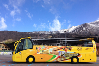 Departure from Catania: Etna bus tour and honey tasting