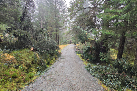 Bergen: Hike & Explore the area of Mount Fløyen