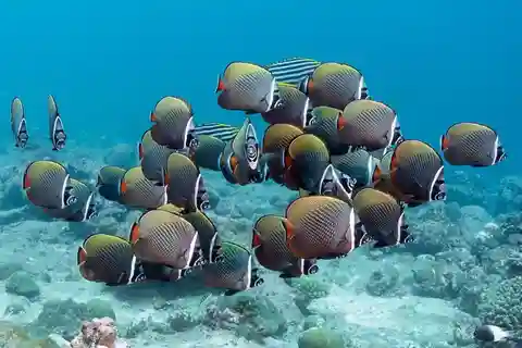 Pausa pranzo tradizionale, Tour della grotta di Kuza, Tour della spiaggia di Paje