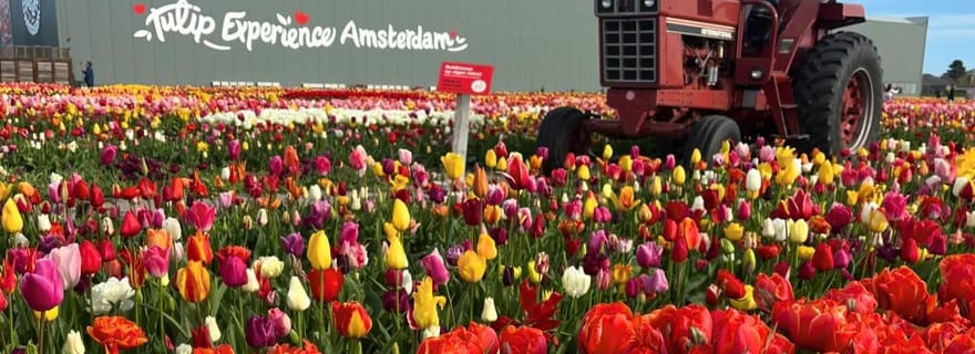 Warmond : Croisière Kagerplassen avec billet 