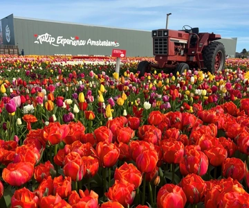 Warmond: Kagerplassen Cruise with "Tulip Experience" Ticket