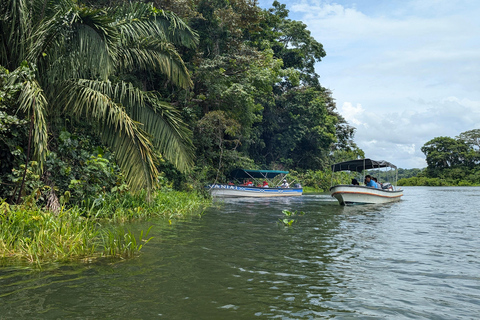 Panama City: Małpia Wyspa i rejs wycieczkowy po jeziorze Gatun