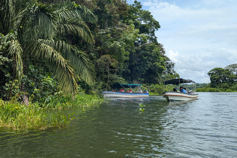 Panama City: Małpia Wyspa i rejs wycieczkowy po jeziorze Gatun