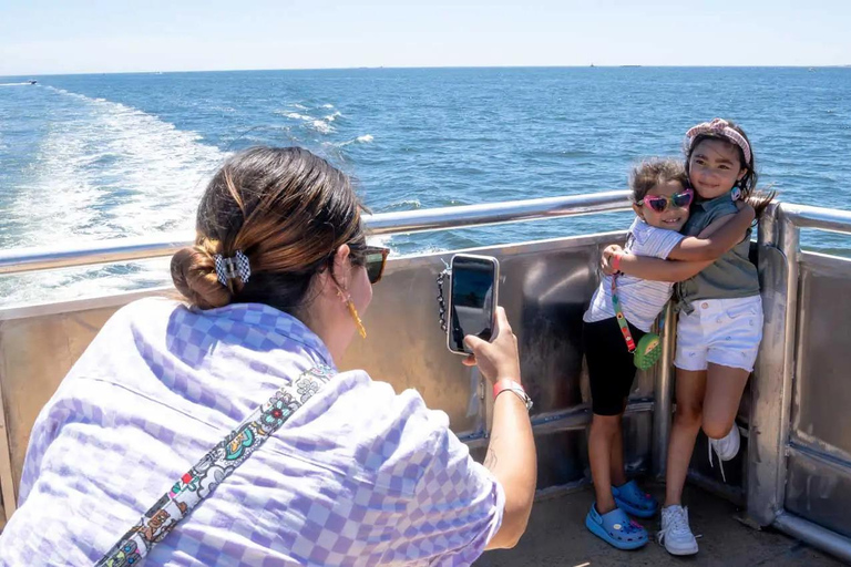 NYC : croisière d&#039;observation des baleines au départ de ManhattanNew York : croisière d&#039;observation des baleines au départ de Manhattan