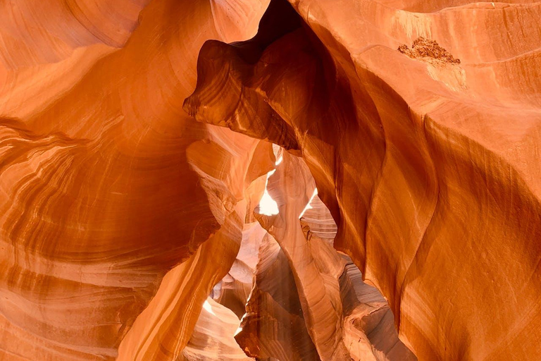 Vegas: Upper Antelope Canyon, Horseshoe Bend, Lake Powell Tour between 11:00 AM and 1:30 PM