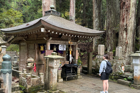 Z Osaki: prywatna wycieczka 1-dniowa z przewodnikiem do Koyasan (miejsce wpisane na listę UNESCO)