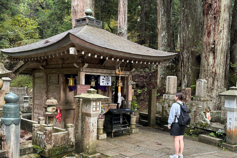 Z Osaki: prywatna wycieczka 1-dniowa z przewodnikiem do Koyasan (miejsce wpisane na listę UNESCO)