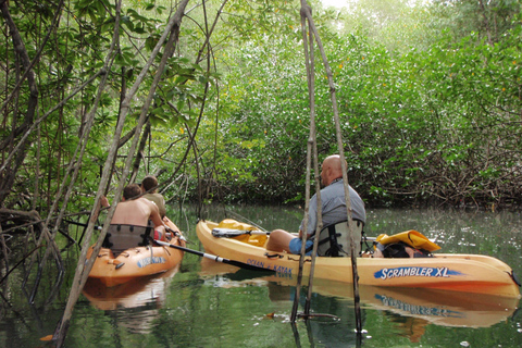 Uvita : Parc national Marino Ballena Kayak de mer et plongée en apnéeParc national Marino Ballena Kayak de mer et plongée en apnée