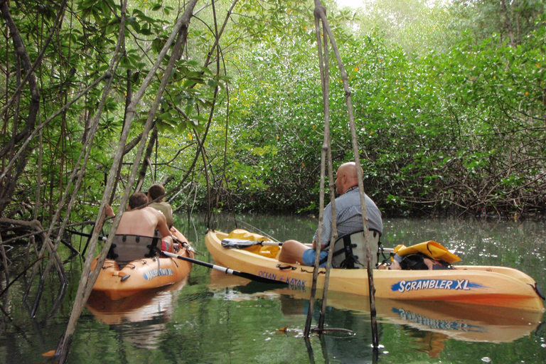 Uvita: Tour privato in kayak e snorkeling - Marino Ballena N. Parco