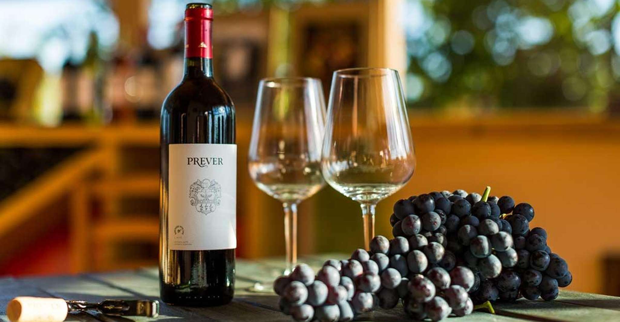 Villarbasse: Degustazione Vini tra le Vigne Storiche
