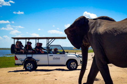 Desde las cataratas Victoria Excursión de un día a Chobe, Botsuana
