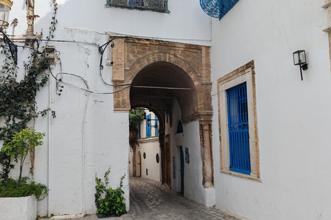 Tunis: Bardo Museum and Medina Guided Tour