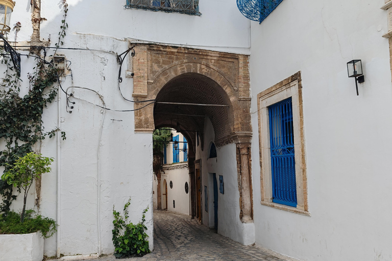 Tunis: Bardo Museum and Medina Guided Tour