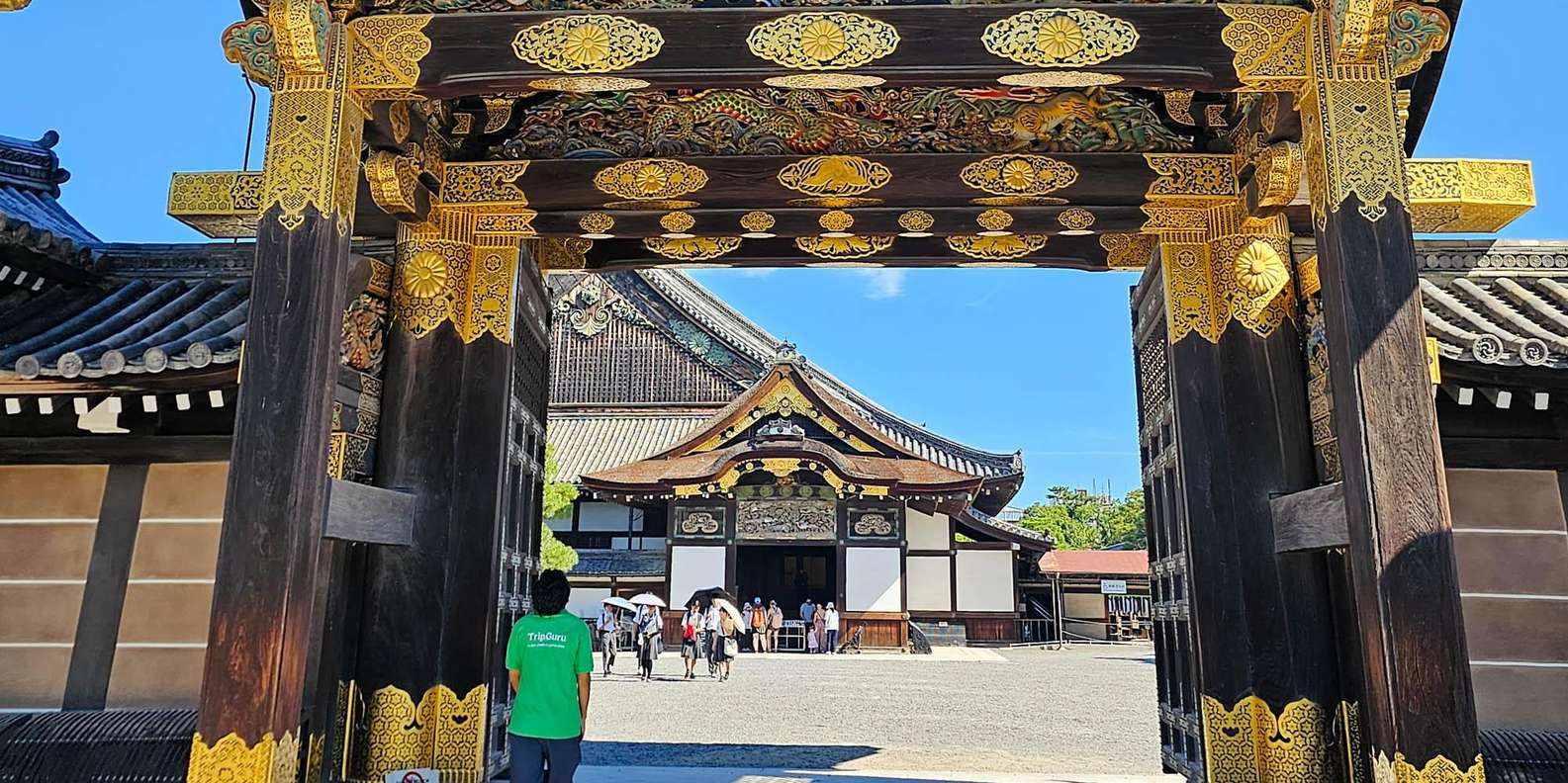 Kyoto experience — temples, geisha, bamboo grove — image 18