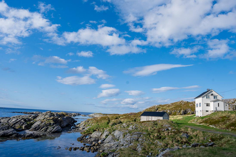 From Tromsø: Experience Vannøya Island Wild, Remote & Real