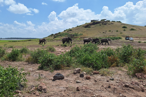 Nairobi: Amboseli National Park Tagestour mit PirschfahrtenSolo Nairobi: Amboseli National Park Tagestour