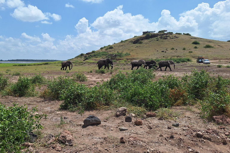 Nairobi: Amboseli National Park Tagestour mit PirschfahrtenSolo Nairobi: Amboseli National Park Tagestour