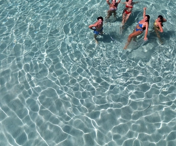 Catamarán de día completo en la isla de Asinara