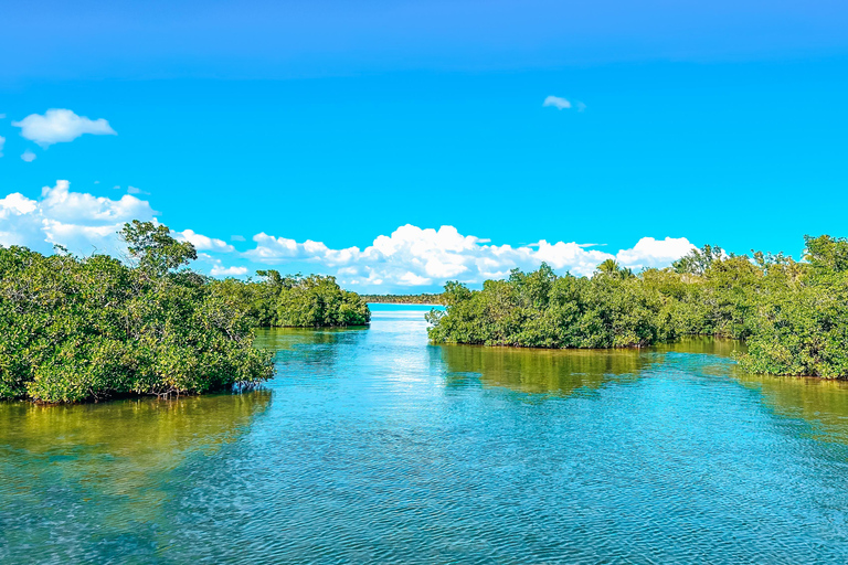 La Romana: Saona Crusoe VIP voor Kreuzfahrtgäste