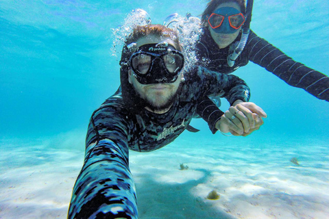 Dunk Island dagstur | Cairns dagstur tillbaka