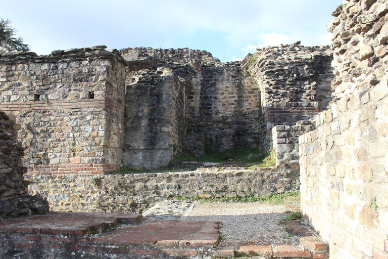 Lyon: Roman Lugdunum Guided Walking Tour