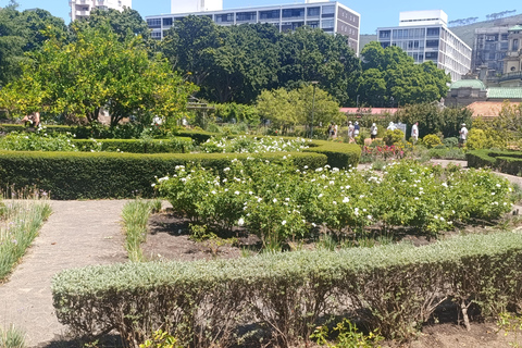 Cape Town: Apartheid History and City Walking Tour