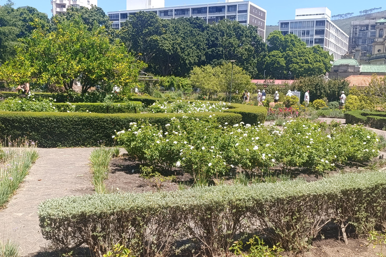 Cape Town: Apartheid History and City Walking Tour