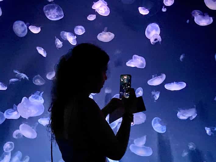 Tokyo : Aquarium Backyard Tour and Tokyo View Observatory