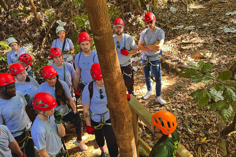 Puerto Rico: Yunque Ziplining in het regenwoud