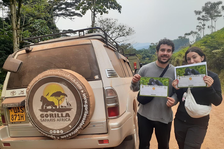 Vanuit Kigali: 2-daagse gorilla-trektocht in Bwindi National Park ...Vanuit Kigali: 2-daagse gorilla trektocht in Bwindi National Park …