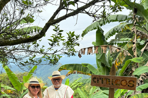 Coffee and Exotic Fruit Tour from Medellín with Lunch Coffee and Exotic Fruit Tour from Medellín with Lunch.