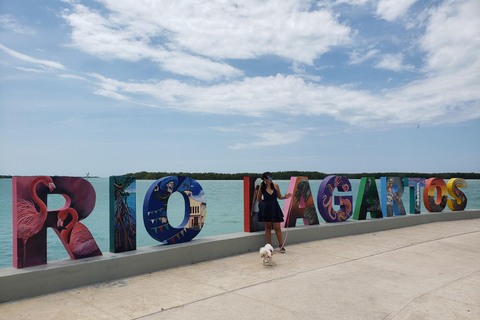 Wycieczka do Ría Lagartos, Coloradas i Playa CancúnitoMerida: Wycieczka na plażę Ria Lagartos, Coloradas i Cancunito