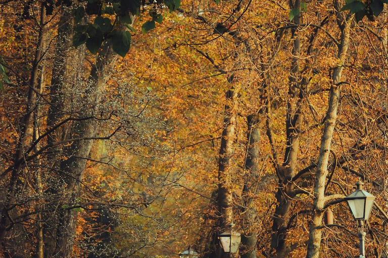 Graz Instagram Photo-Tour: K-Style Portraits In Iconic Spots