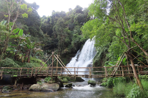 Chiang Mai: Doi Inthanon Pha Dok Siew Trek & Karen Culture