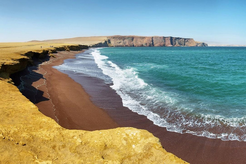 Heldag Ballestasöarna - Paracas nationalreservat