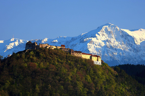Private DayTrip Bucharest: Brașov, Dracula, Bear Sanctuary
