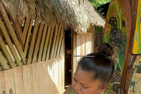 Cahuita National Park+Bribri Chocolate Tour+Waterfalls Tour+Lunch