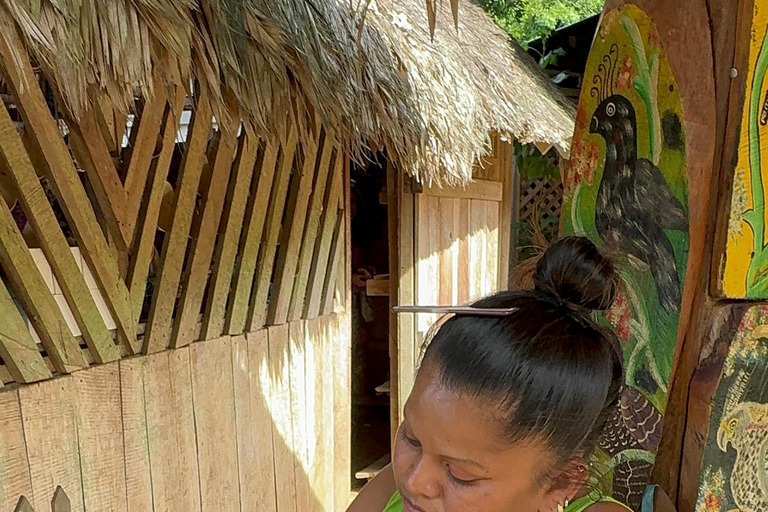 Cahuita National Park+Bribri Chocolate Tour+Waterfalls Tour+Lunch