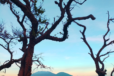 Bromo berg och Ijen krater tur i 3 dagar