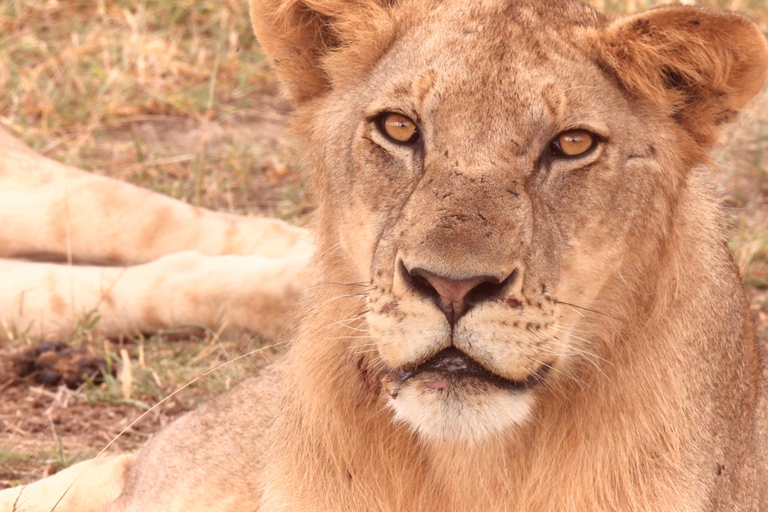 6 Days Tanzanian Safari Serengeti Wonders & Crater Magic