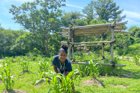 Plymouth: Plimoth Patuxet Museums - 3 tickets available ALL: Plimoth Patuxet, Mayflower and the Plimoth Grist Mill