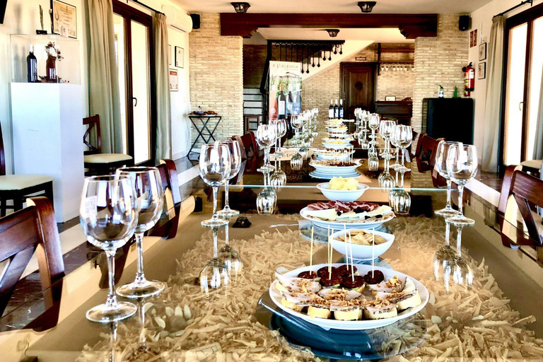 Ronda : visite d&#039;un domaine viticole avec dégustation de vins et tapas