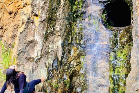 Kandy: Temple of Tooth, Train Ride, & Cave Waterfall Tour