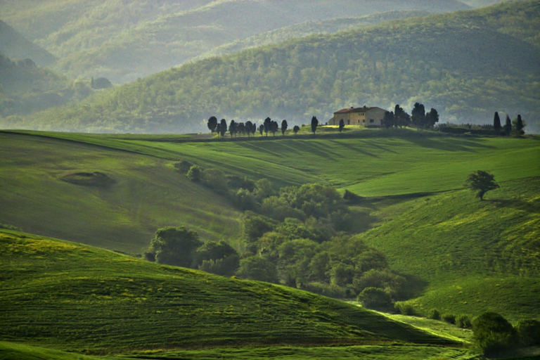 The Tuscan lavender field