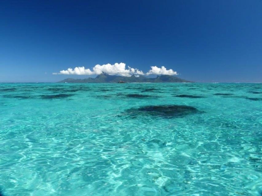 Tahiti : excursion en snorkeling en petit groupe à l'aquarium et aux épaves
