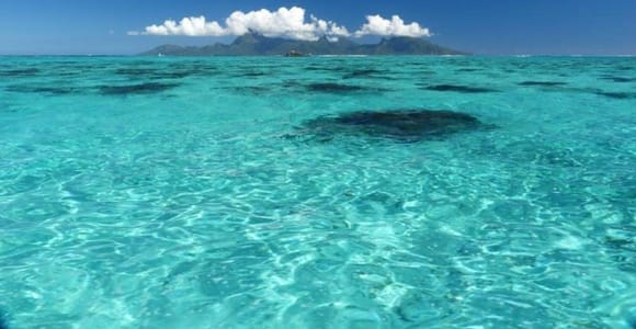 Tahiti: Small Group Snorkeling Tour at The Aquarium & Wrecks